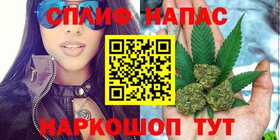 спайс Гай