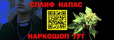 спайс Гай