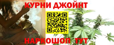 спайс Гай